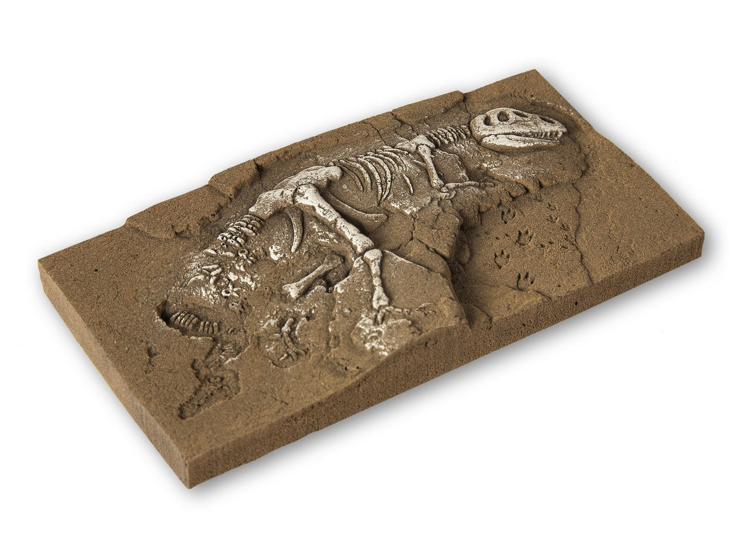 Noch 58614: T-Rex Dinosaur Excavation (H0,TT,N)