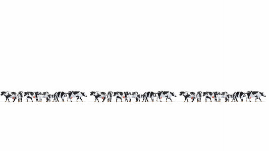 Noch 16164: XL Set “Black & White Cows” (H0)