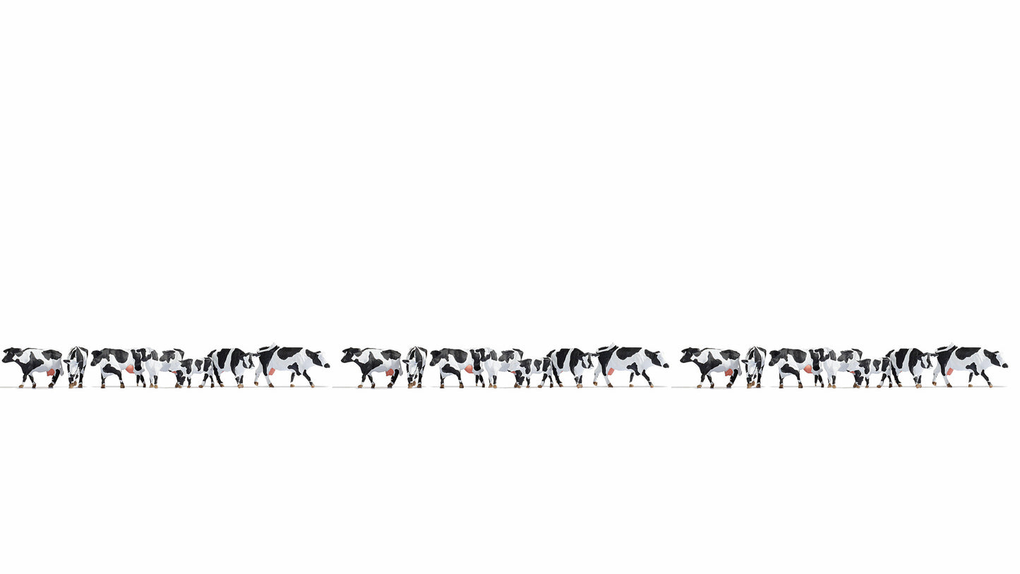 Noch 16164: XL Set “Black & White Cows” (H0)
