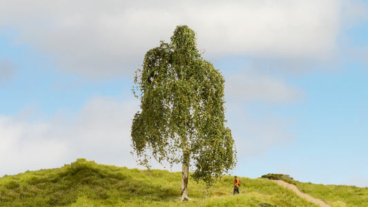 Noch 20120: Silver Birch Tree 18 cm high (G,1,0,H0,TT,N,Z)