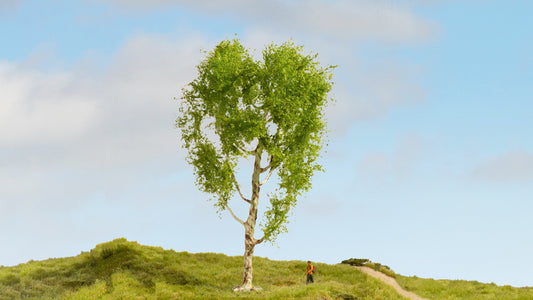 Noch 20125: Downy Birch Tree 21 cm high (G,1,0,H0,TT,N,Z)